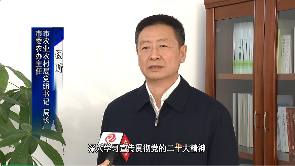 【贯彻二十大皇冠娱乐在行动】专访市委农办主任，市农业农村局党组书记、局长杨昕
